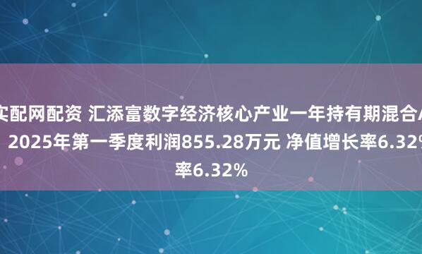 实配网配资 汇添富数字经济核心产业一年持有期混合A：2025年第一季度利润855.28万元 净值增长率6.32%