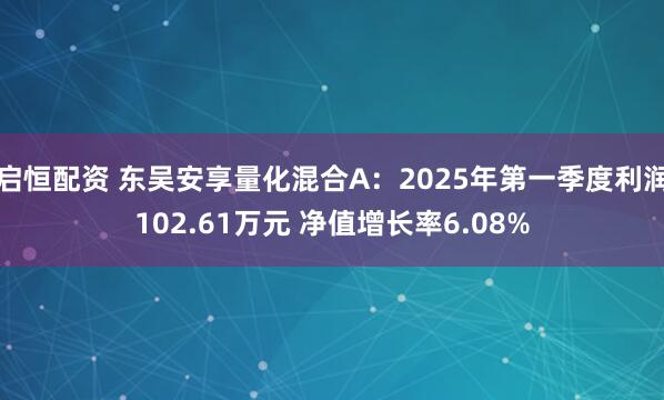 启恒配资 东吴安享量化混合A：2025年第一季度利润102.61万元 净值增长率6.08%