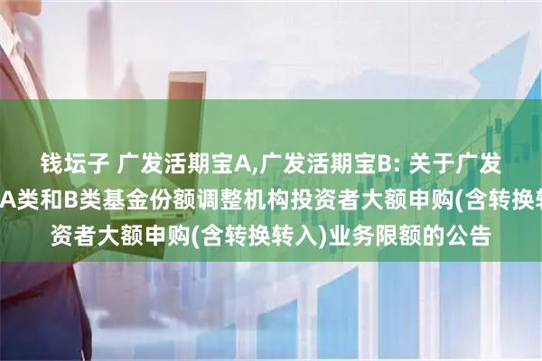 钱坛子 广发活期宝A,广发活期宝B: 关于广发活期宝货币市场基金A类和B类基金份额调整机构投资者大额申购(含转换转入)业务限额的公告