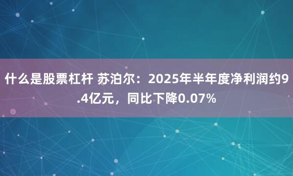 什么是股票杠杆 苏泊尔：2025年半年度净利润约9.4亿元，同比下降0.07%