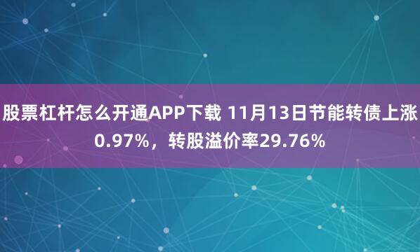 股票杠杆怎么开通APP下载 11月13日节能转债上涨0.97%，转股溢价率29.76%