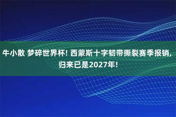 牛小散 梦碎世界杯! 西蒙斯十字韧带撕裂赛季报销, 归来已是2027年!